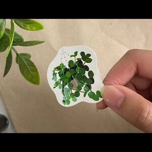 3/$20 Vinyl Glossy Sticker | Hanging Plant